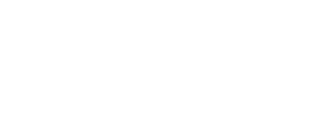 Webspires Logo